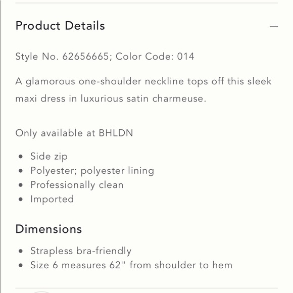 COPY - BHLDN Dylan Dress in Champagne UNALTERED, worn once and dry cleaned. - Picture 9 of 11